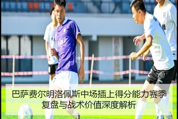 ba-sa-fei-er-ming-luo-pei-si-zhong-chang-cha-shang-de-fen-neng-li-sai-ji-fu-pan-yu-zhan-shu-jia-zhi-shen-du-jie-xi-2-302.jpg
