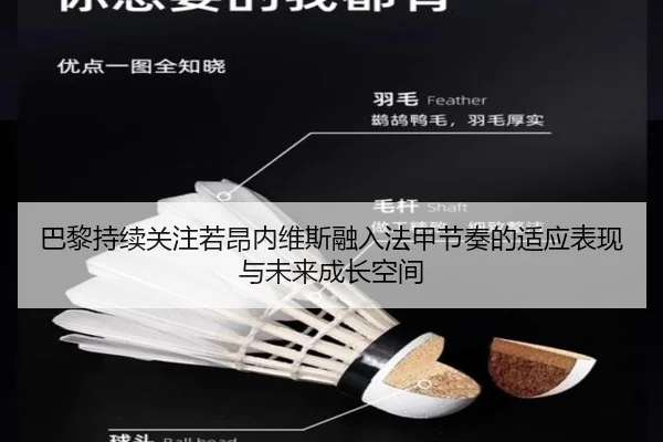 巴黎持续关注若昂内维斯融入法甲节奏的适应表现与未来成长空间