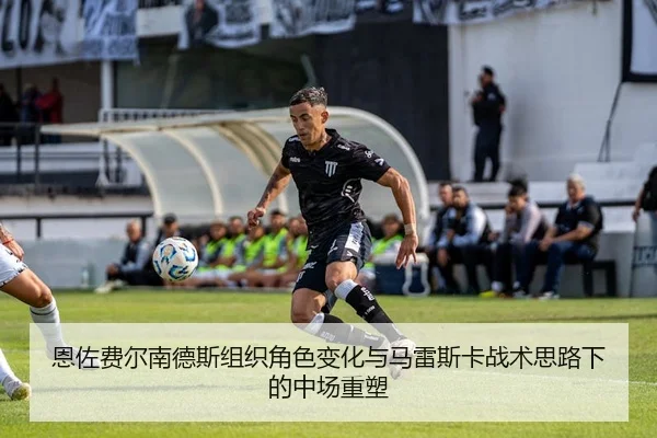 恩佐费尔南德斯组织角色变化与马雷斯卡战术思路下的中场重塑