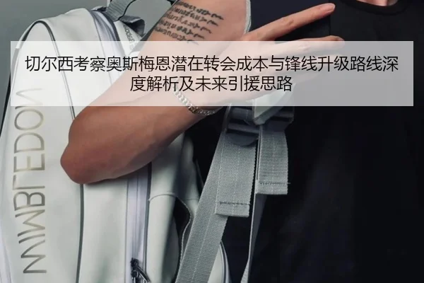 切尔西考察奥斯梅恩潜在转会成本与锋线升级路线深度解析及未来引援思路