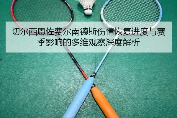 切尔西恩佐费尔南德斯伤情恢复进度与赛季影响的多维观察深度解析